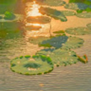 Meet your Posher, Withered